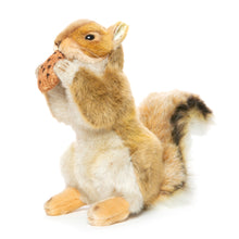 Hansa Red Squirrel with Nut