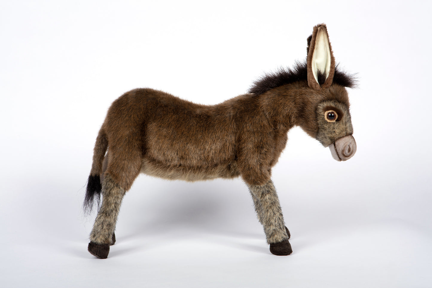 Hansa Donkey
