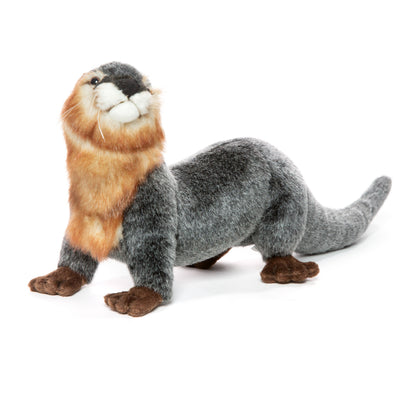 Hansa River Otter