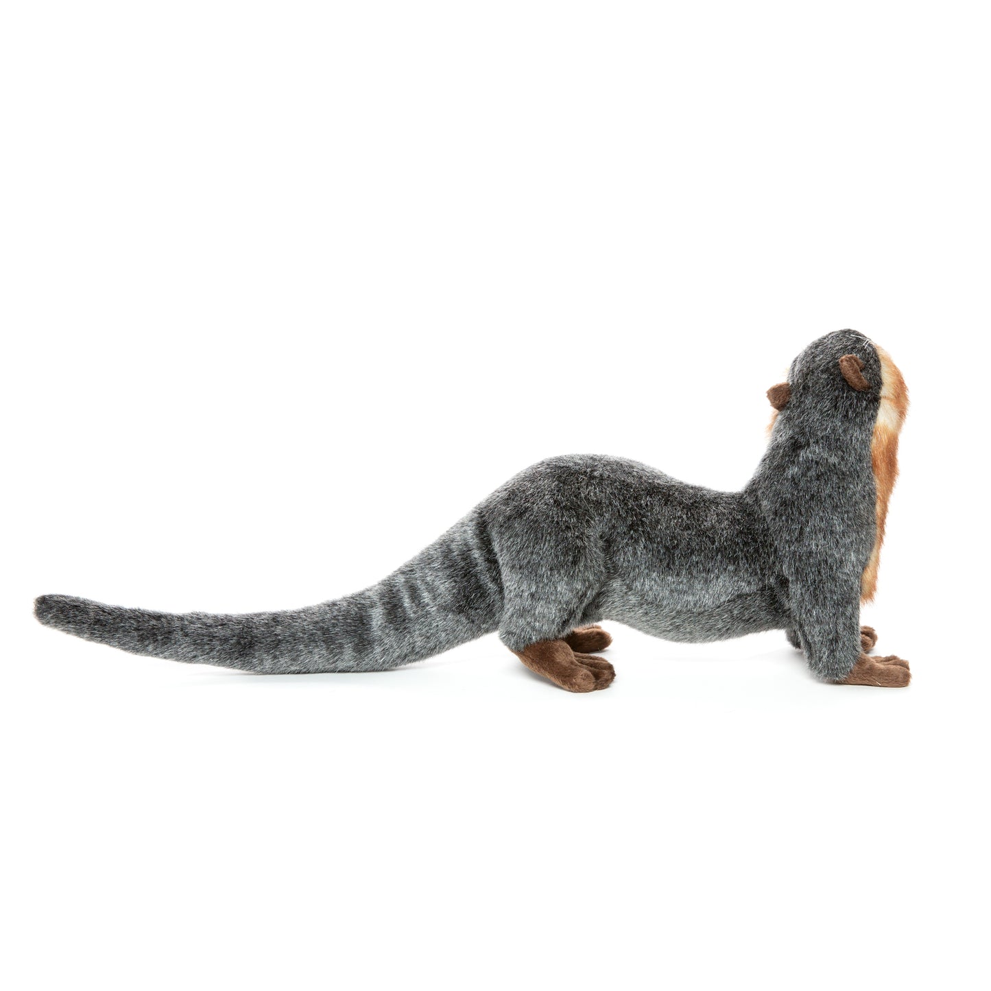 Hansa River Otter