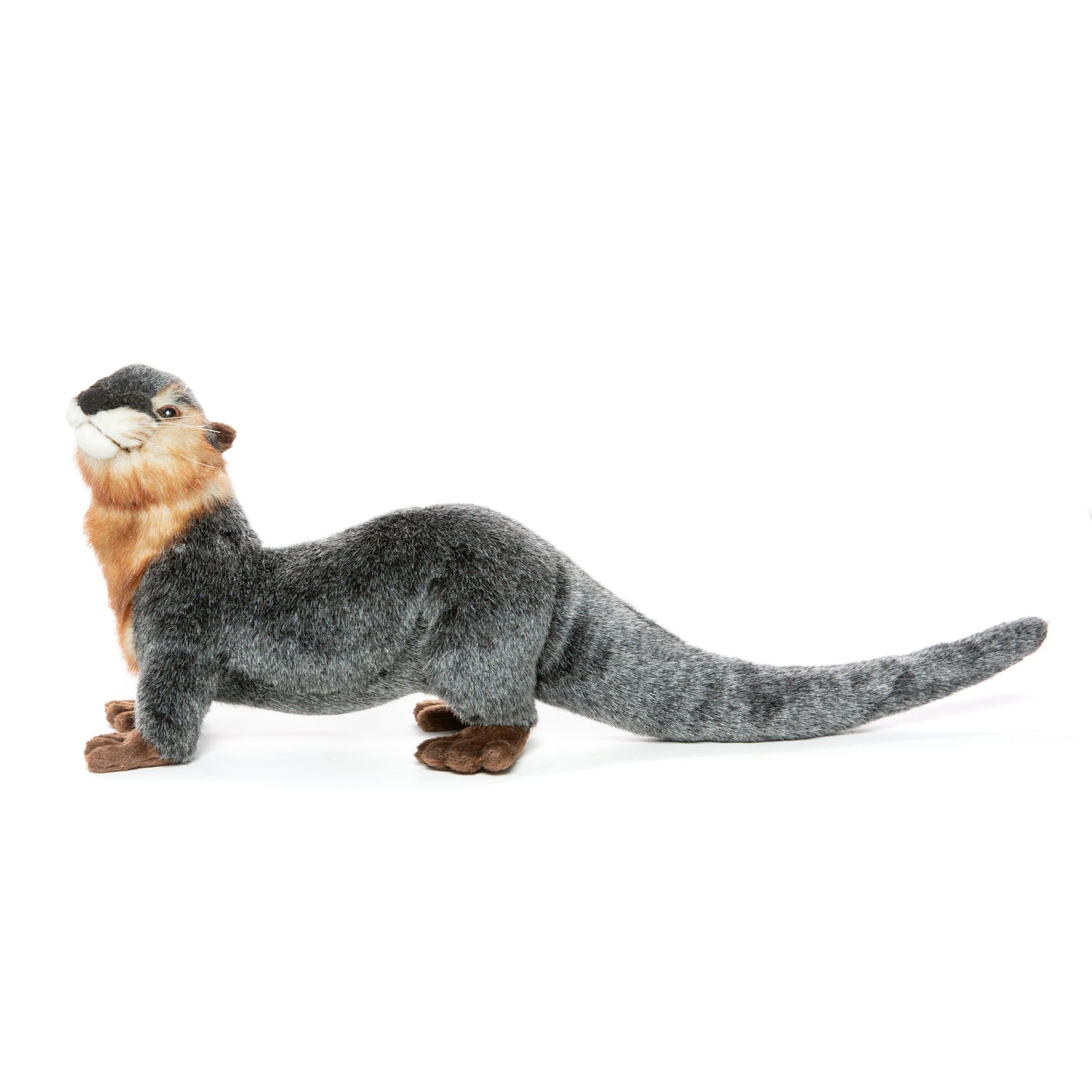 Hansa River Otter