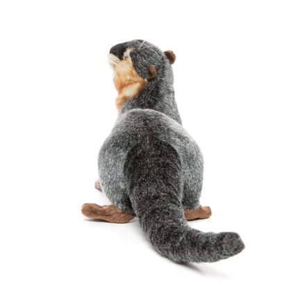 Hansa River Otter