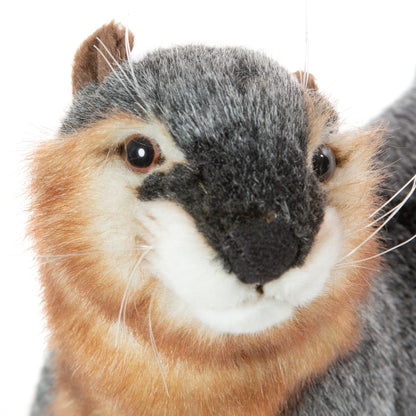 Hansa River Otter