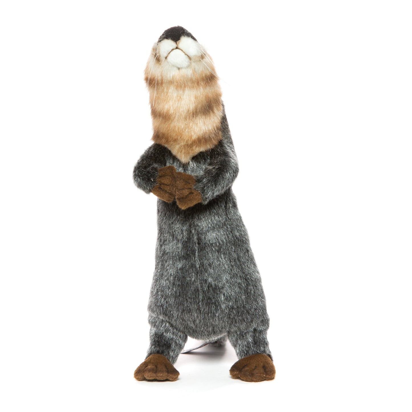 Hansa Otter Standing