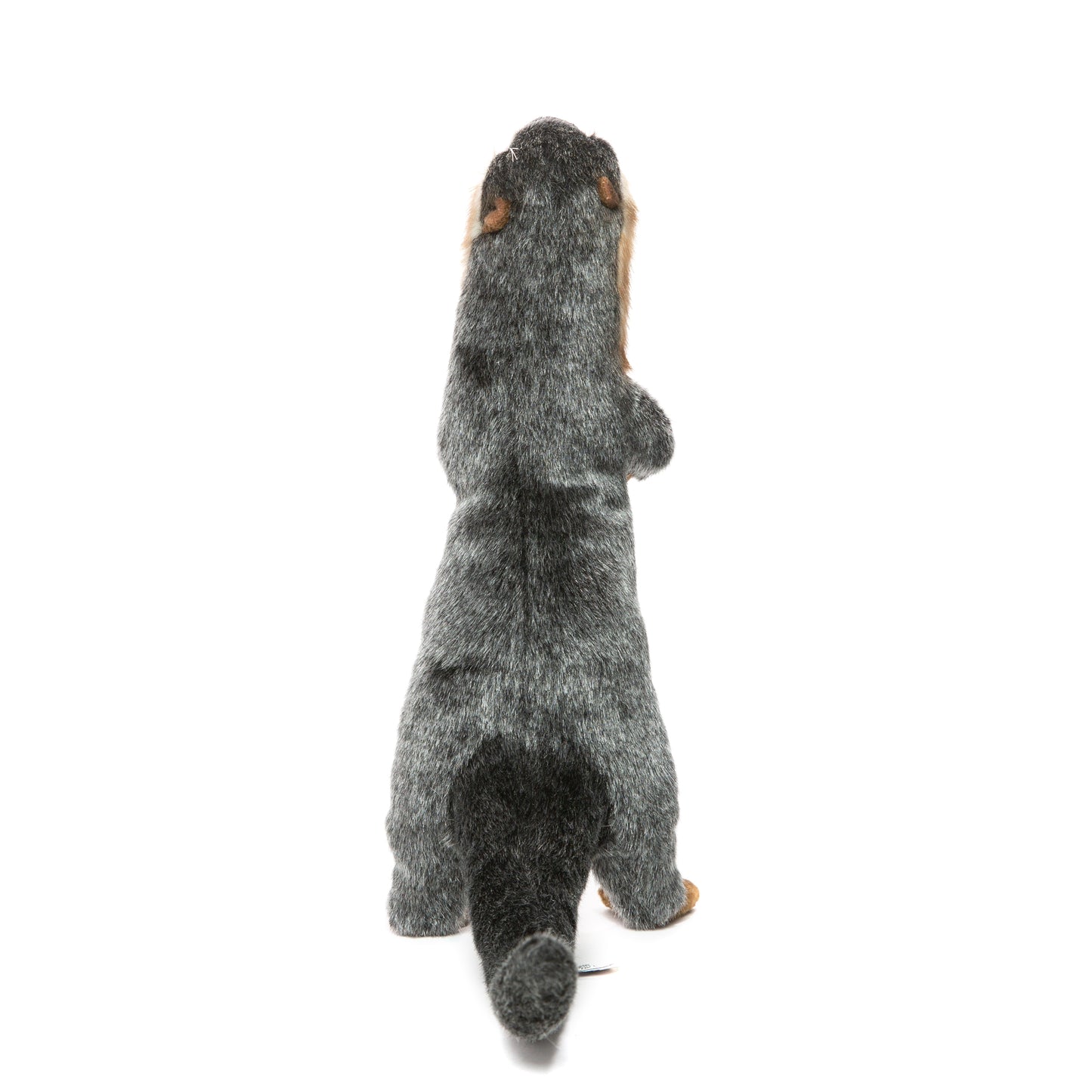 Hansa Otter Standing