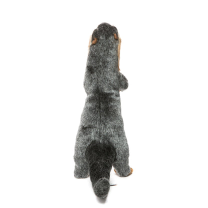 Hansa Otter Standing