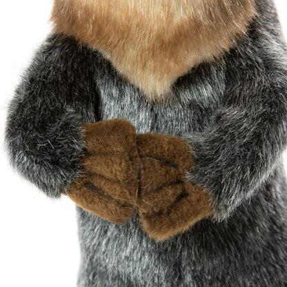 Hansa Otter Standing