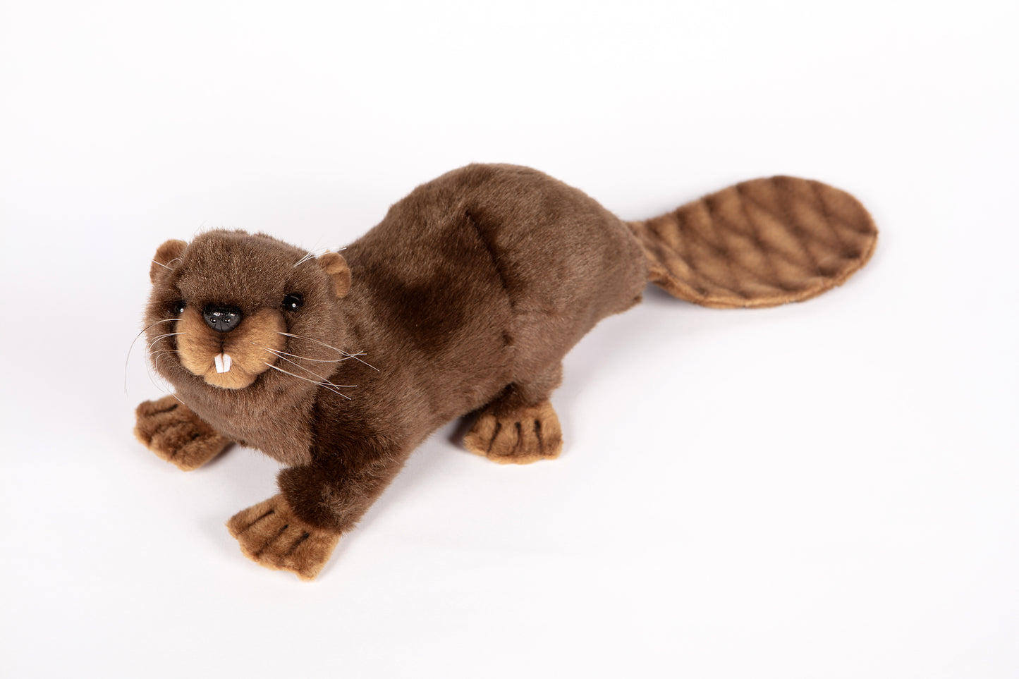 Hansa Beaver