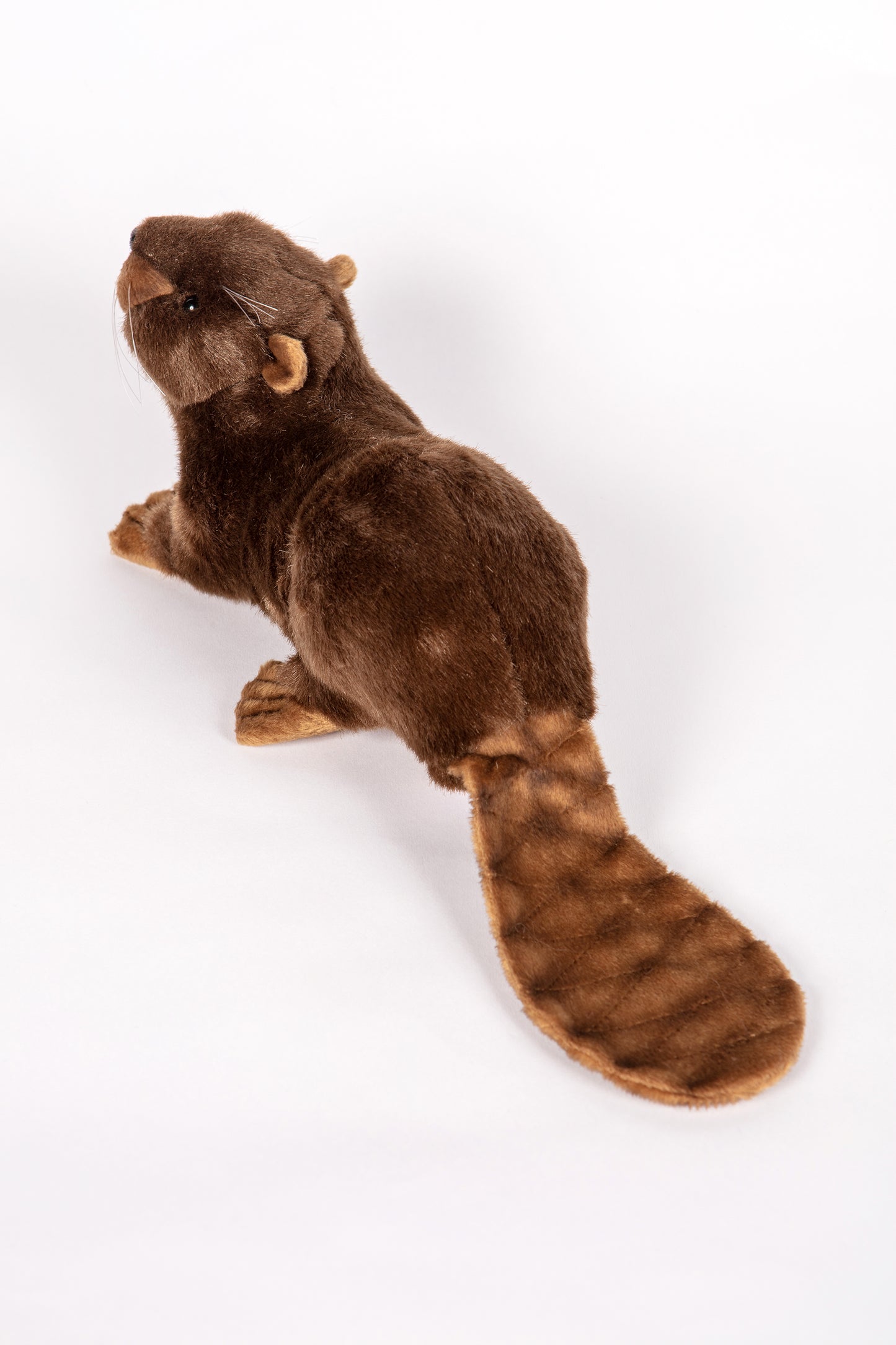 Hansa Beaver
