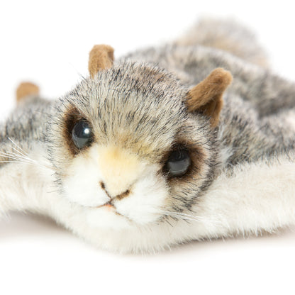 Hansa Flying Squirrel