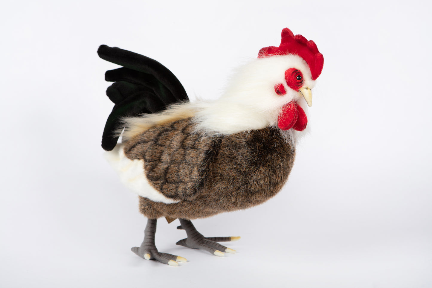 Hansa Rooster
