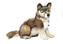 Hansa Grey Wolf Cub Sitting