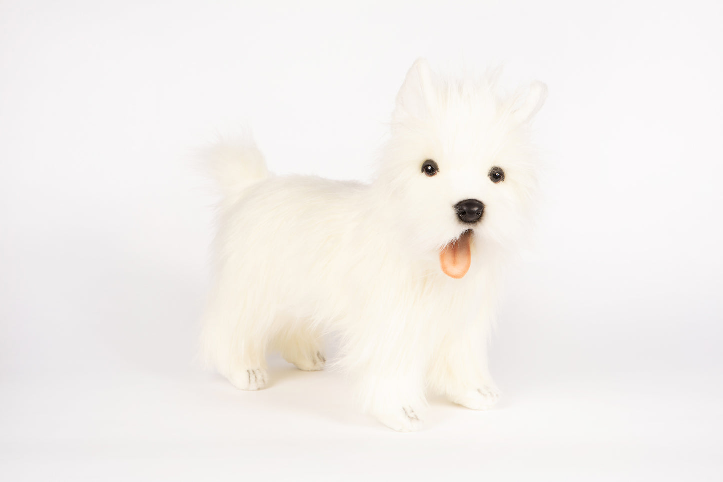 Hansa West Highland Terrier