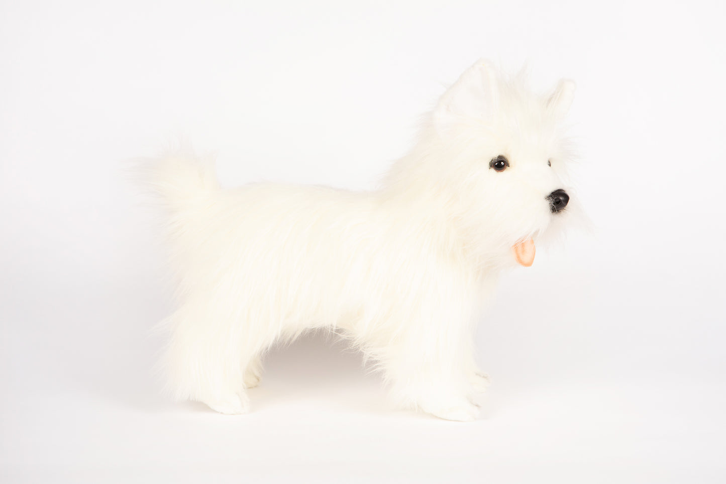 Hansa West Highland Terrier
