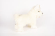 Hansa West Highland Terrier