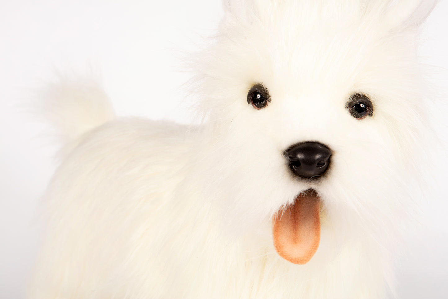 Hansa West Highland Terrier