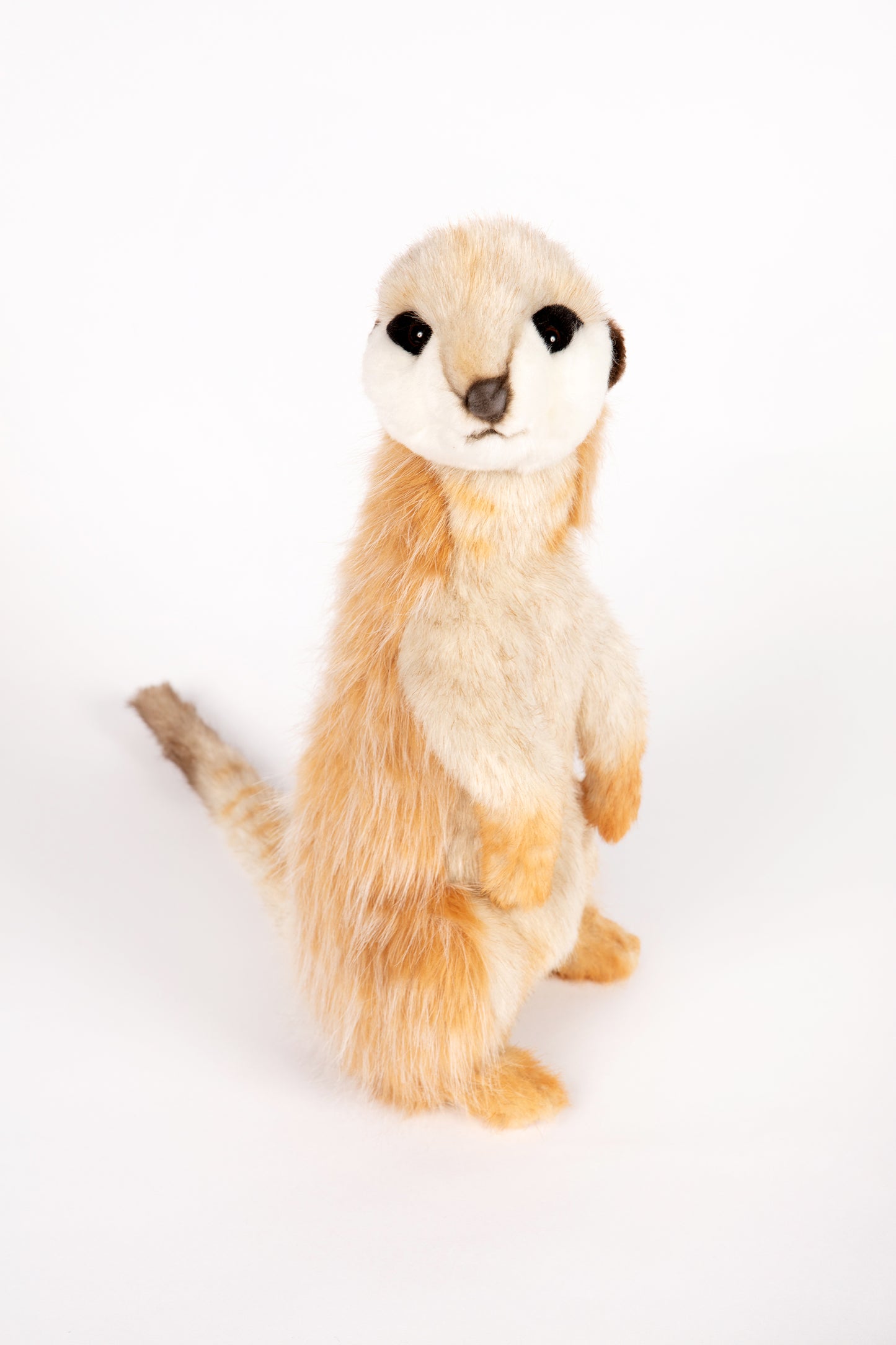 Hansa Meerkat Adult 32Cm
