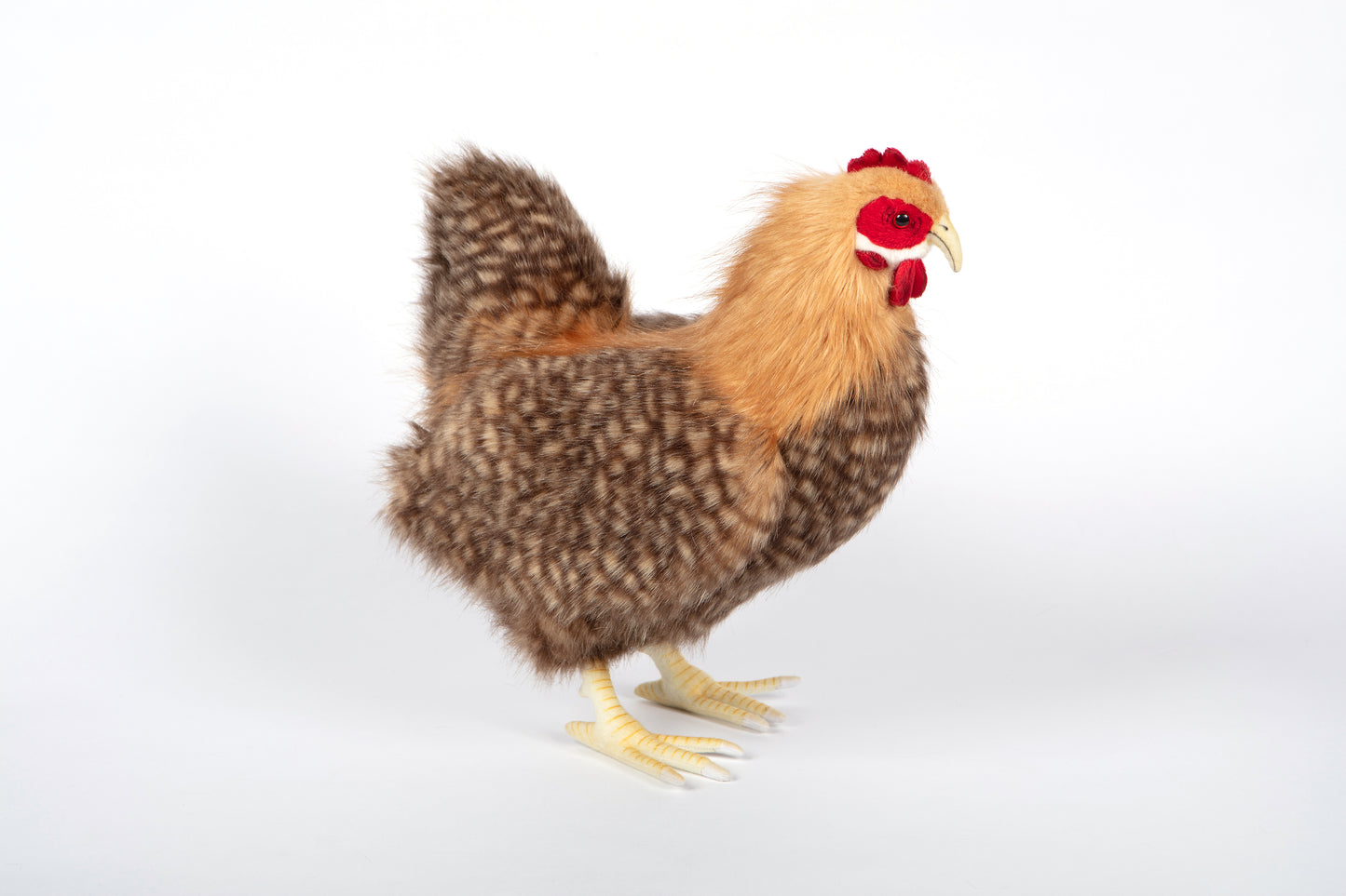 Hansa Hen (Beige)