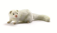 Hansa Ferret (White)