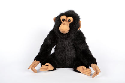 Hansa Chimp 35CM