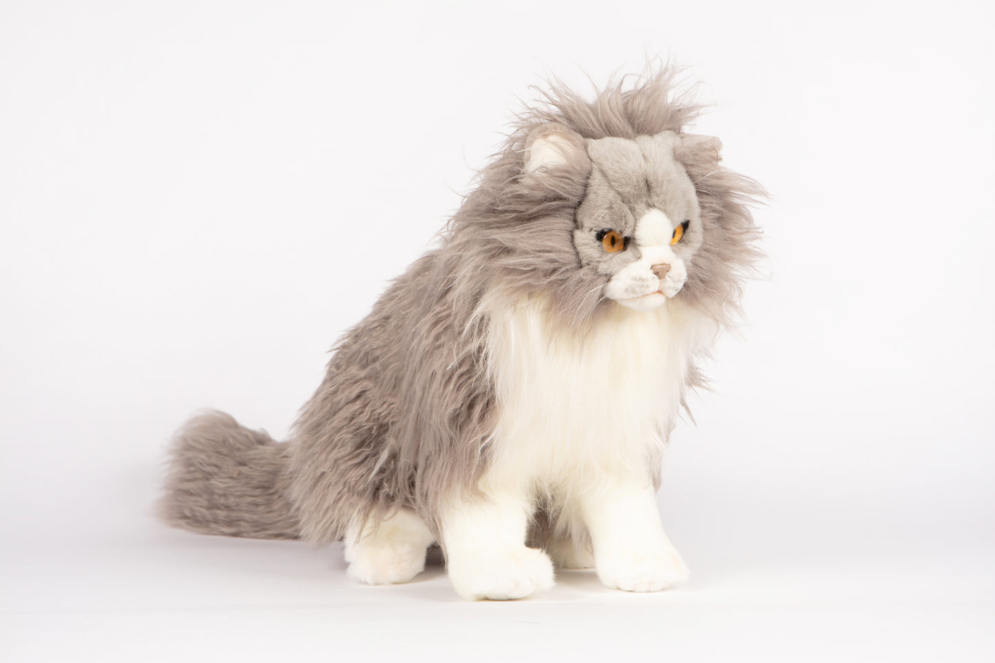 Hansa Tabby Cat
