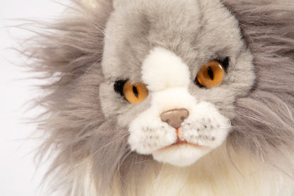 Hansa Tabby Cat
