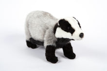 Hansa European Badger Medium