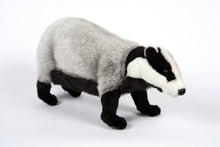 Hansa European Badger