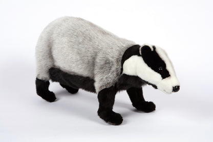 Hansa European Badger