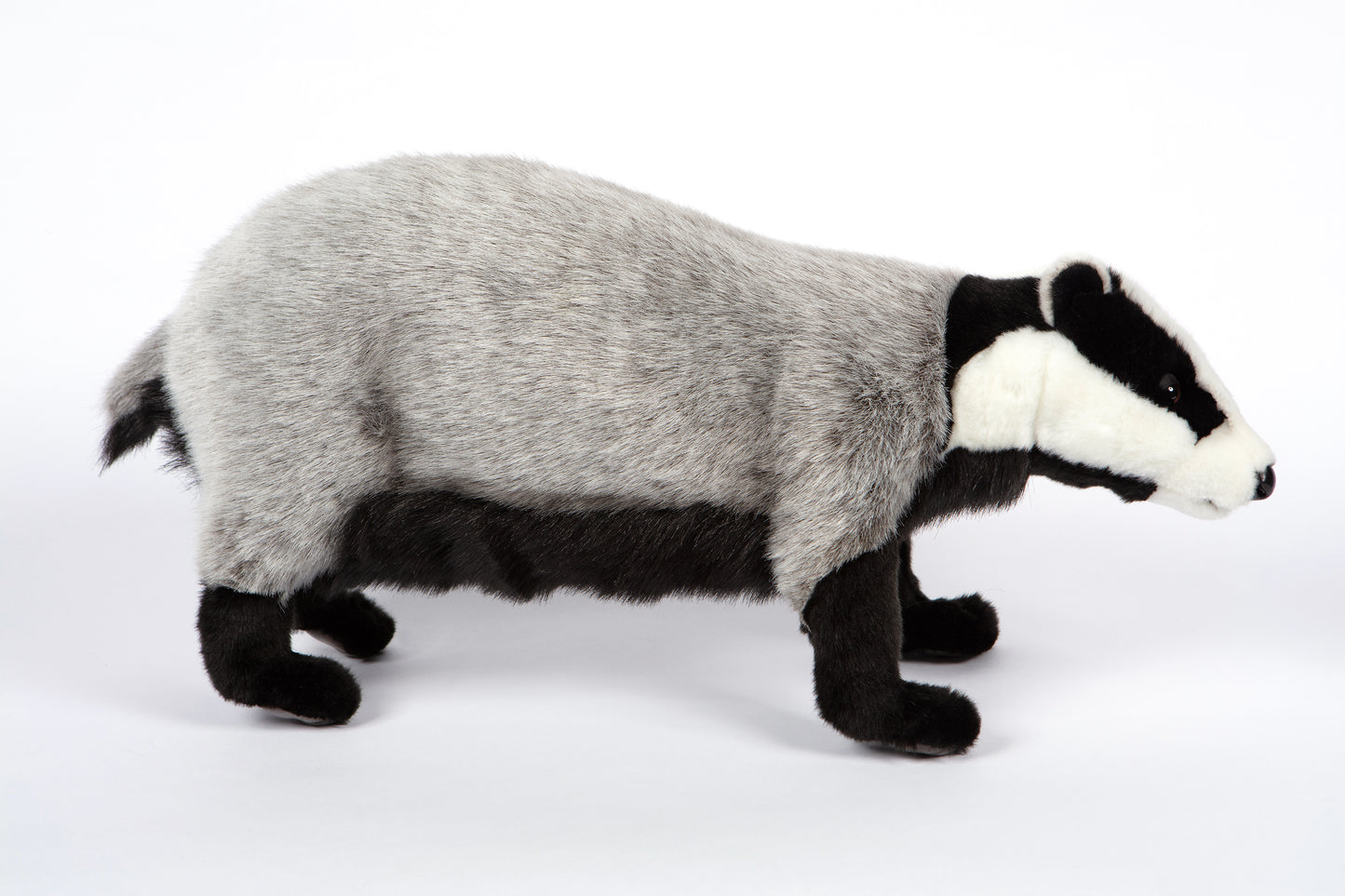 Hansa European Badger