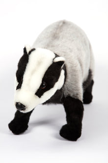 Hansa European Badger