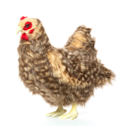Hansa Islander Hen