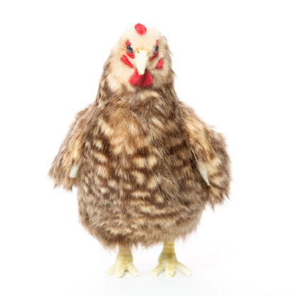Hansa Islander Hen