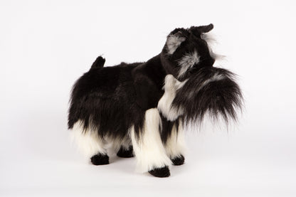 Hansa Miniature Schnauzer