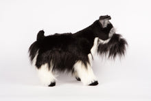 Hansa Miniature Schnauzer