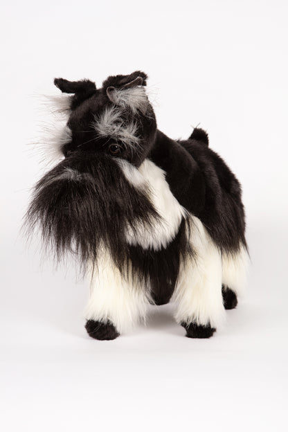 Hansa Miniature Schnauzer