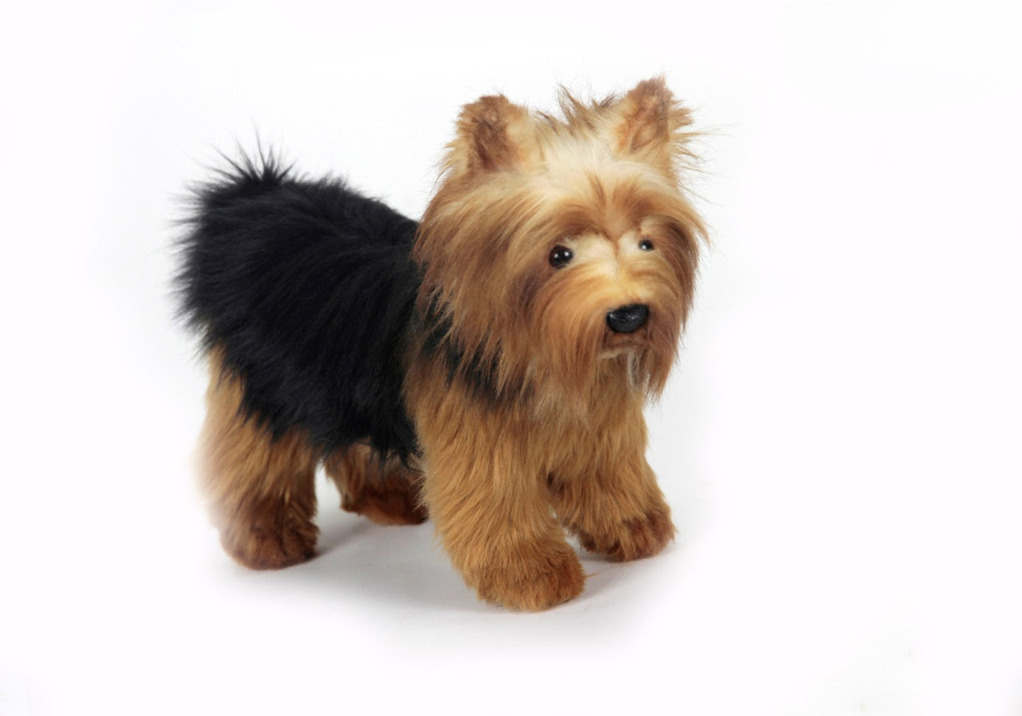Hansa Yorkshire Terrier