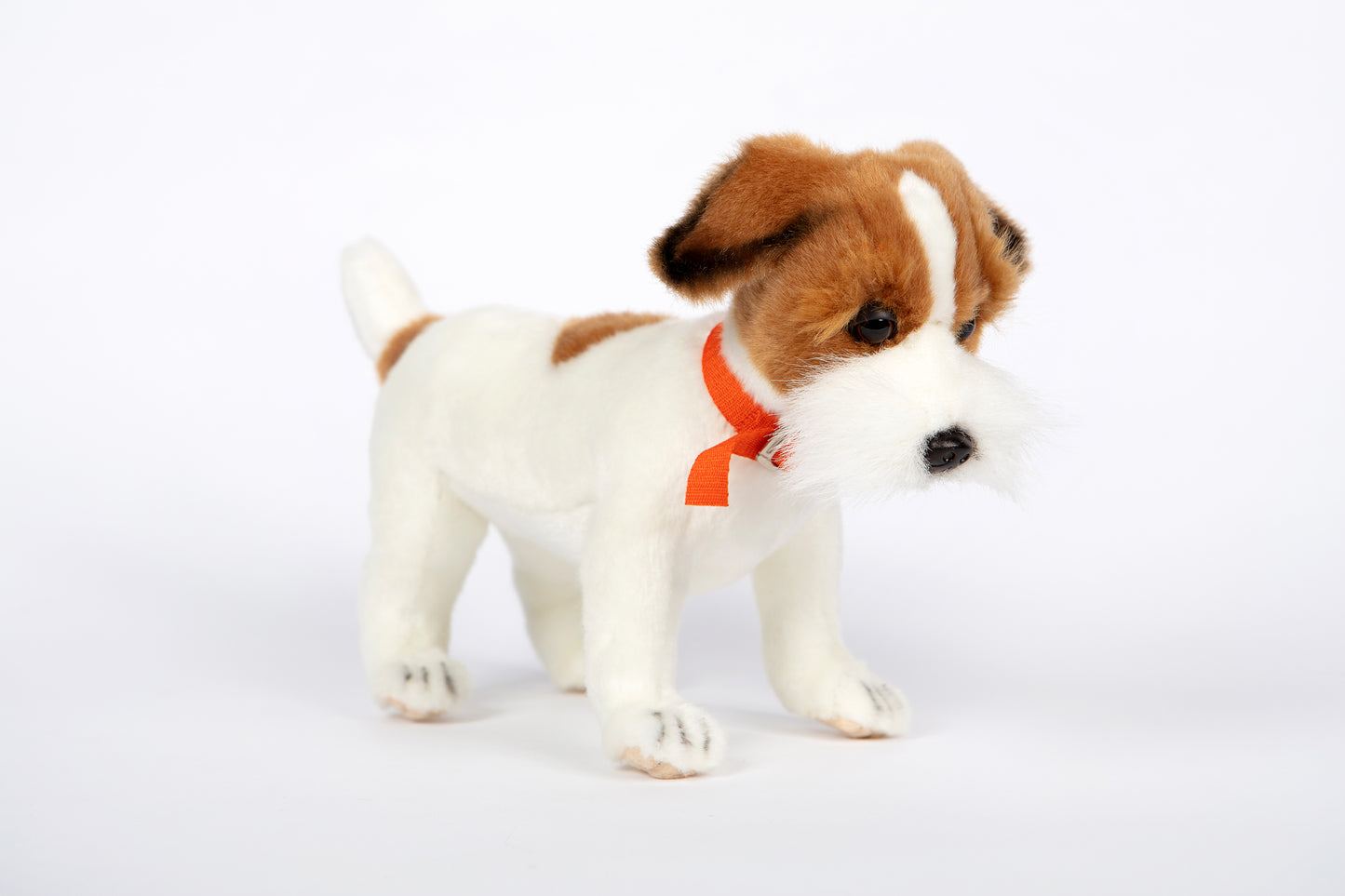 Hansa Jack Russell Terrier