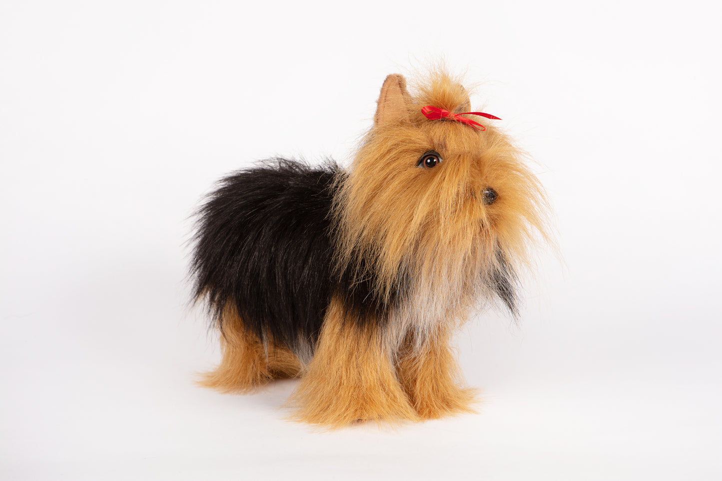 Hansa Yorkshire Terrier Standing