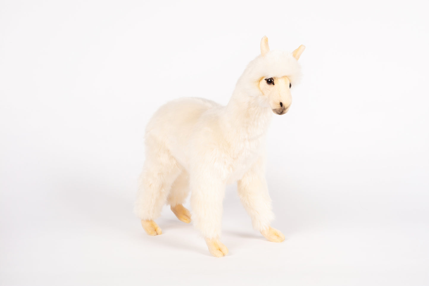 Hansa Alpaca