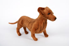Hansa Dachshund Standing