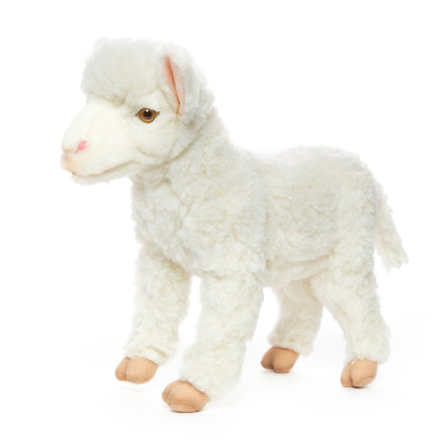 Hansa White Lamb
