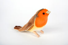 Hansa Red Breasted Robin