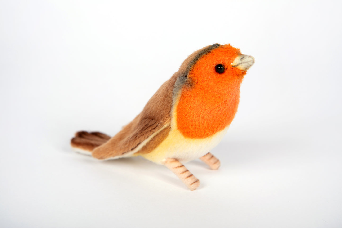 Hansa Red Breasted Robin