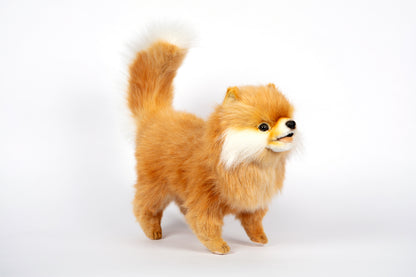 Hansa Pomeranian Dog