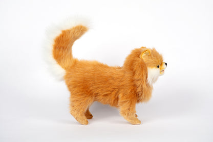 Hansa Pomeranian Dog