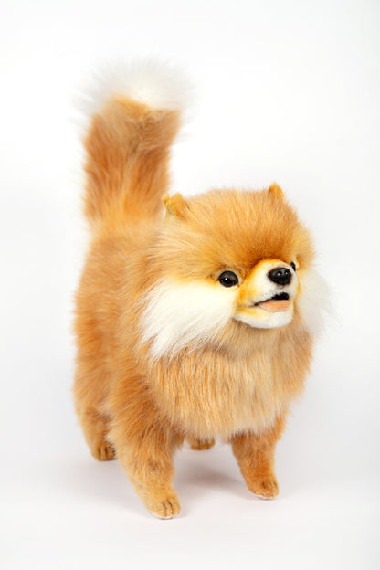 Hansa Pomeranian Dog