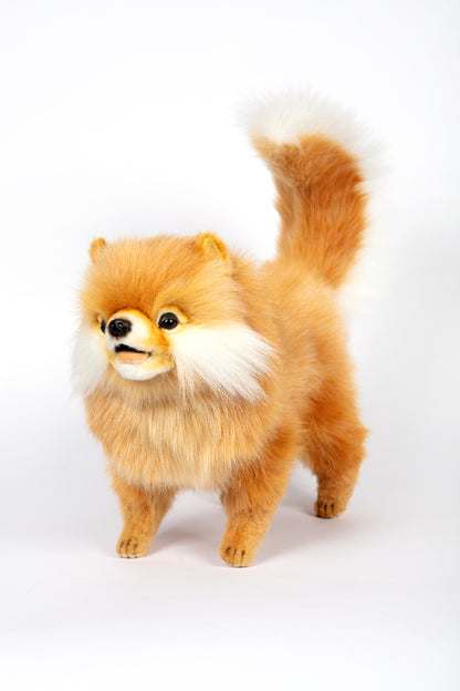 Hansa Pomeranian Dog