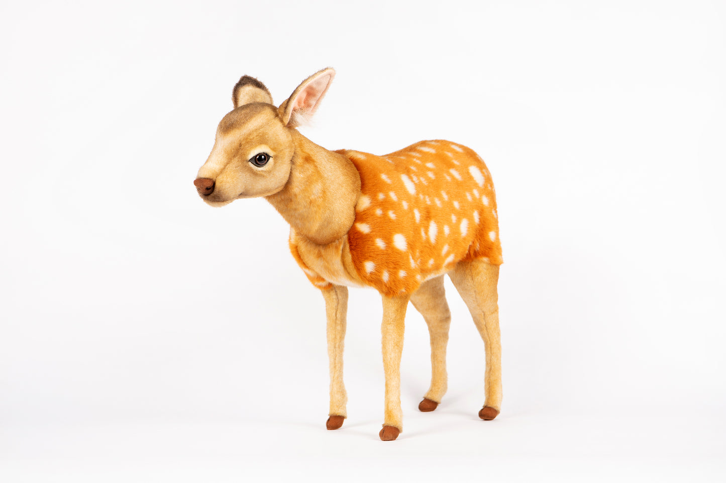 Hansa Sika Deer Fawn Standing
