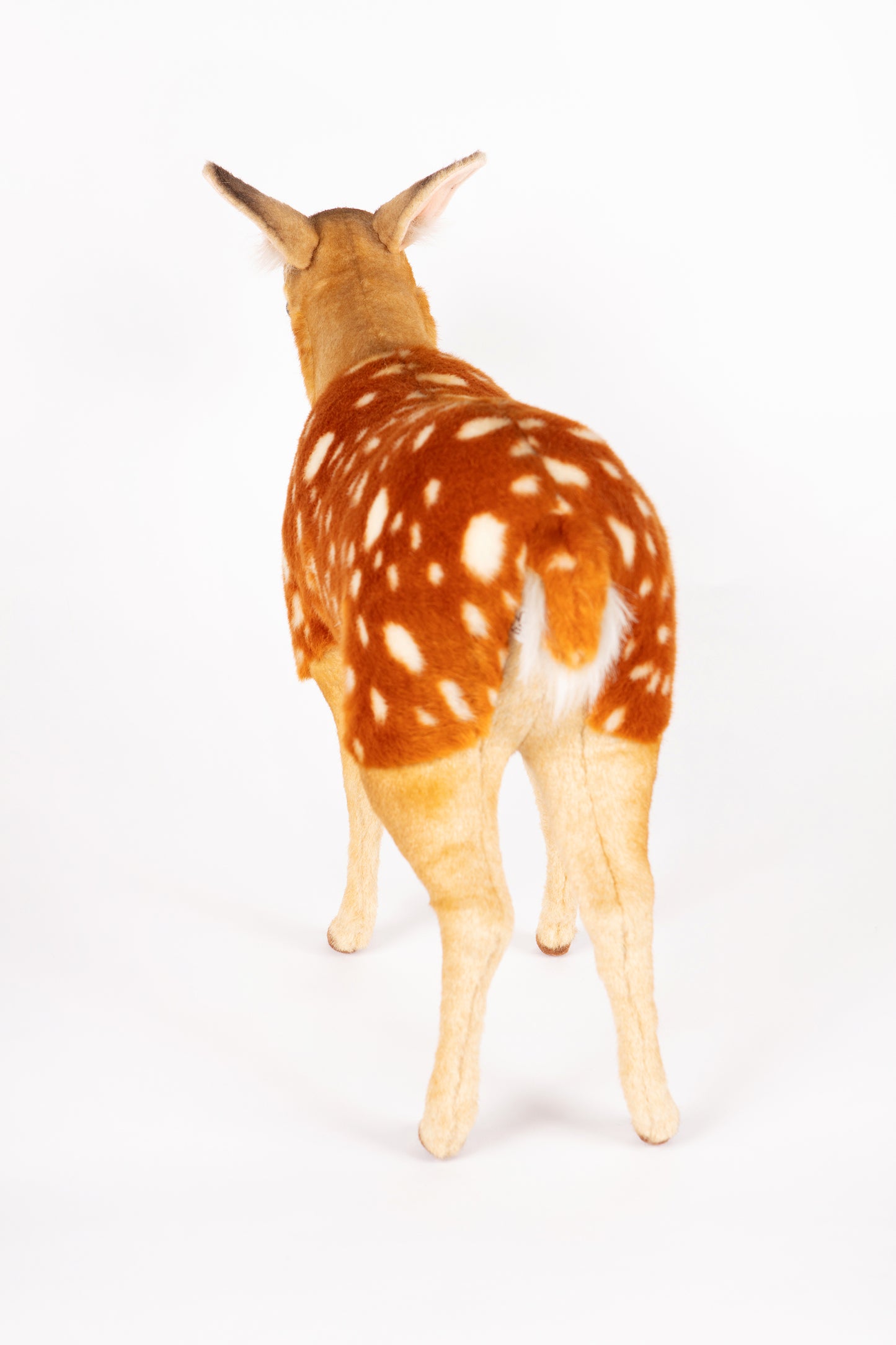 Hansa Sika Deer Fawn Standing